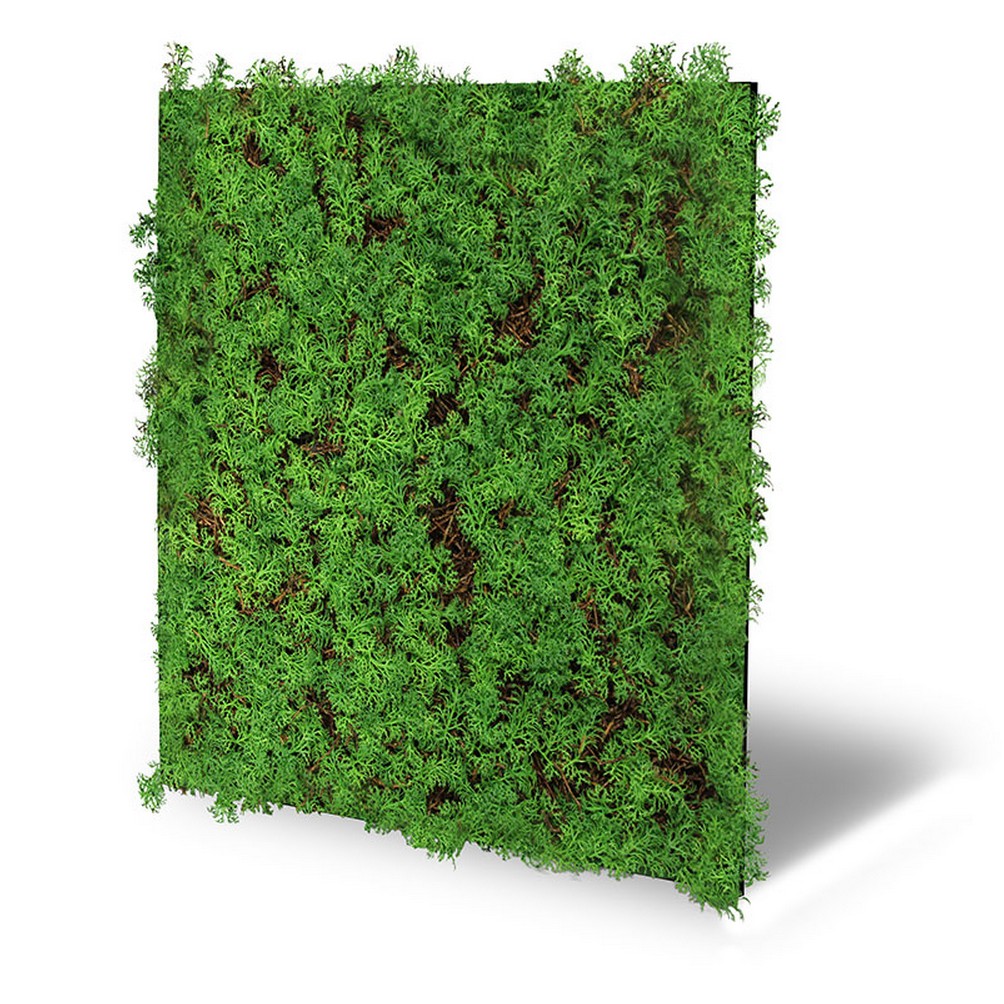 Wandpaneel Jangal Modular Wall 11105 Thuja Tea Tree 52 x 52 cm