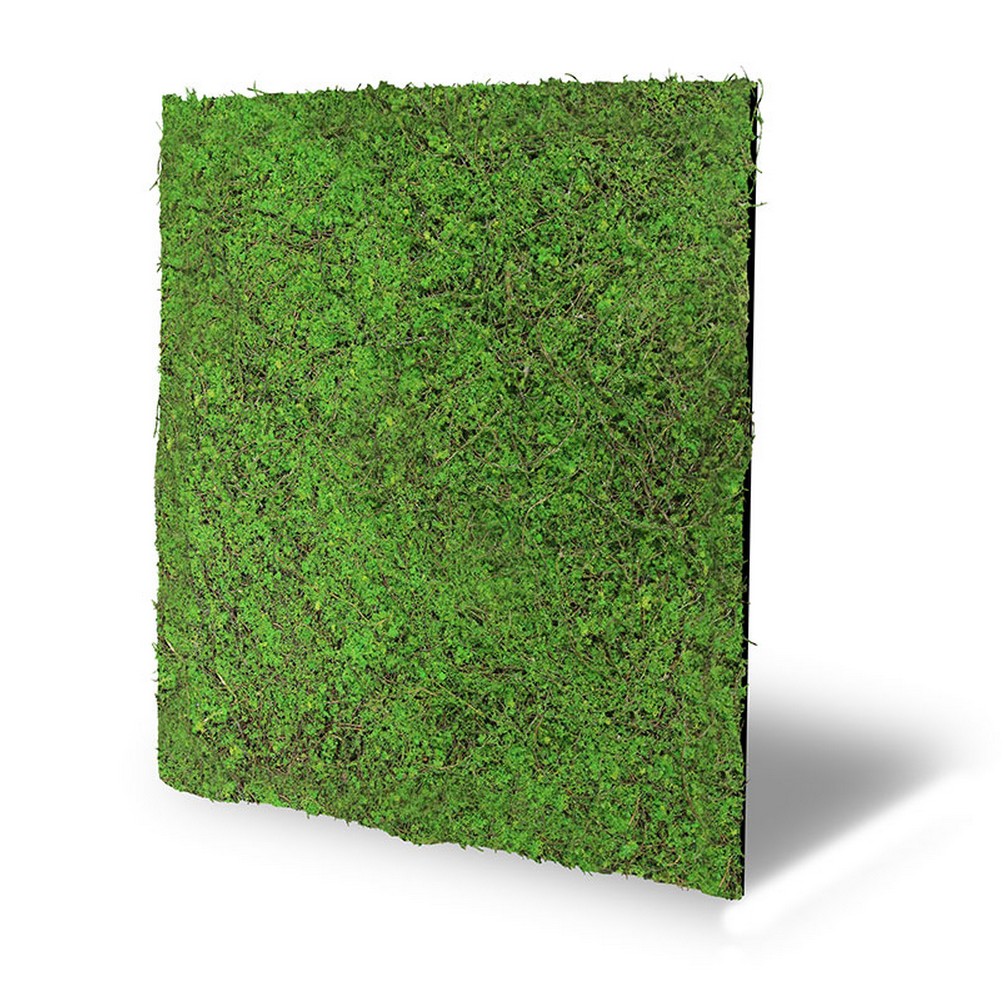 Wandpaneel Jangal Modular Wall 11107 Forest Green Ancient Tree 52 x 52 cm