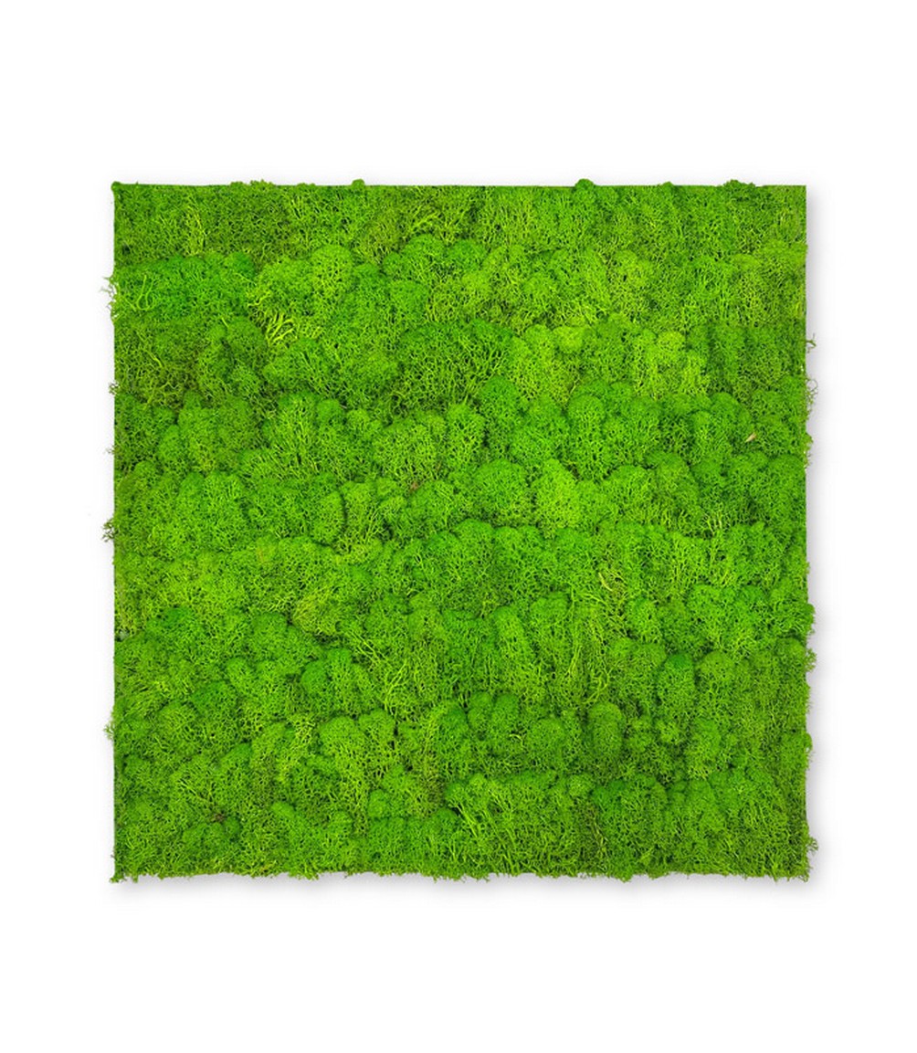 Wandpaneel Jangal Modular Wall 11102 Bright Green Moos 52 x 52 cm