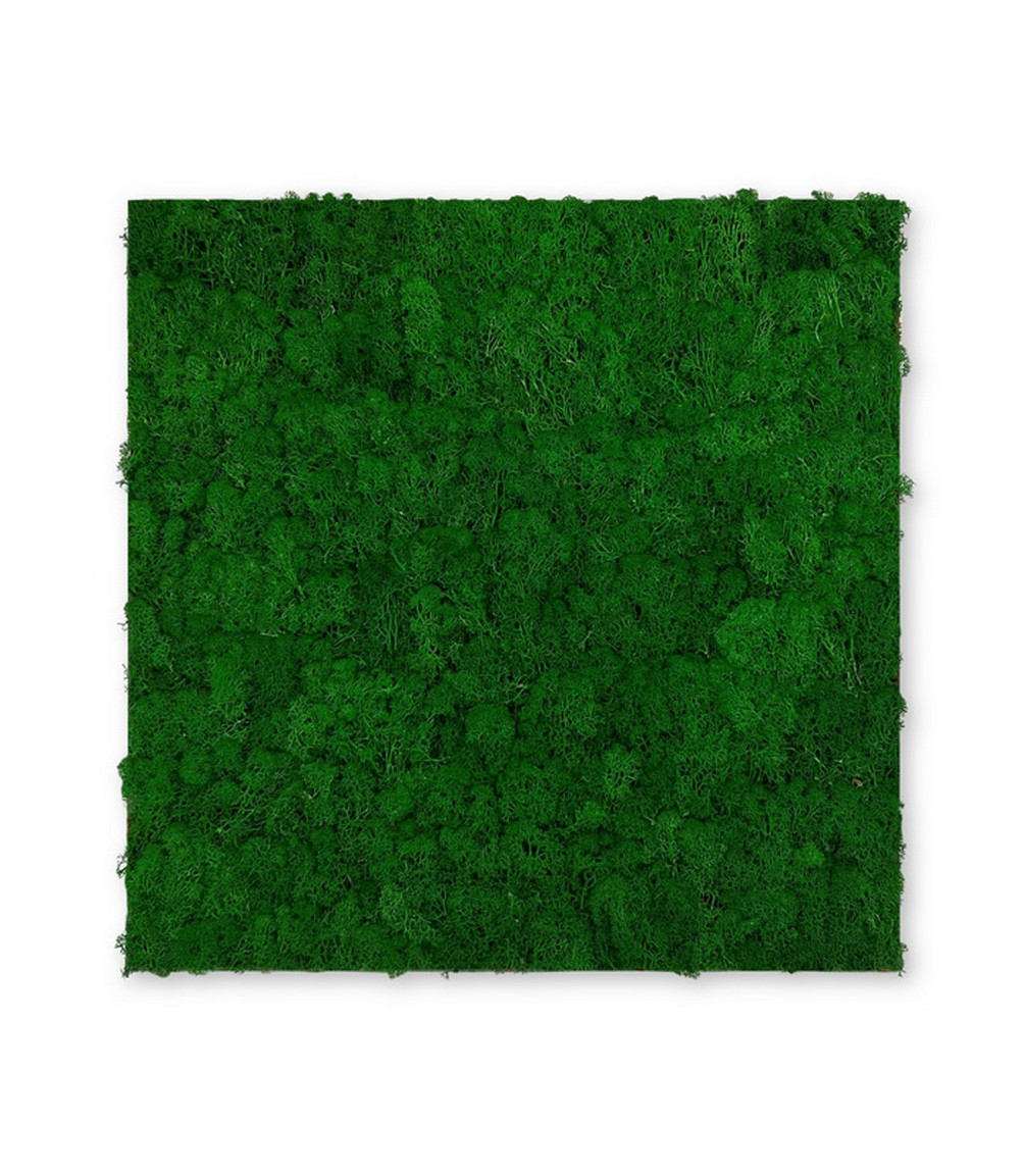 acoustic_panel_11100_NatureGreen_web-p-1