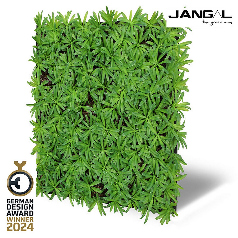 Wandpaneel Jangal Modular Wall 11104 Podocarpus Tea Tree 52 x 52 cm