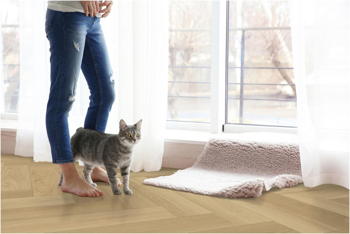 Click-Vinyl CHECK One 2477H Baienbach Eiche Herringbone inkl. Trittschall